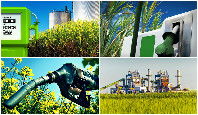 Biocombustíveis: saiba o que são, tipos, vantagens e desvantagens